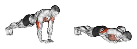 diamond push up muscle worked